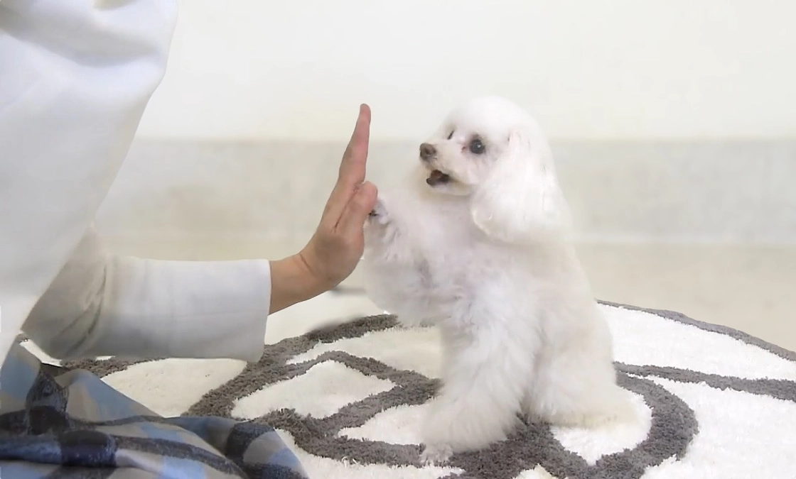 一年早いですね