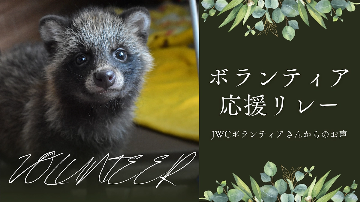 ボランティア応援リレーVol3「kikiさん」