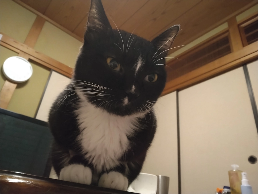 12/6はなちゃんの様子