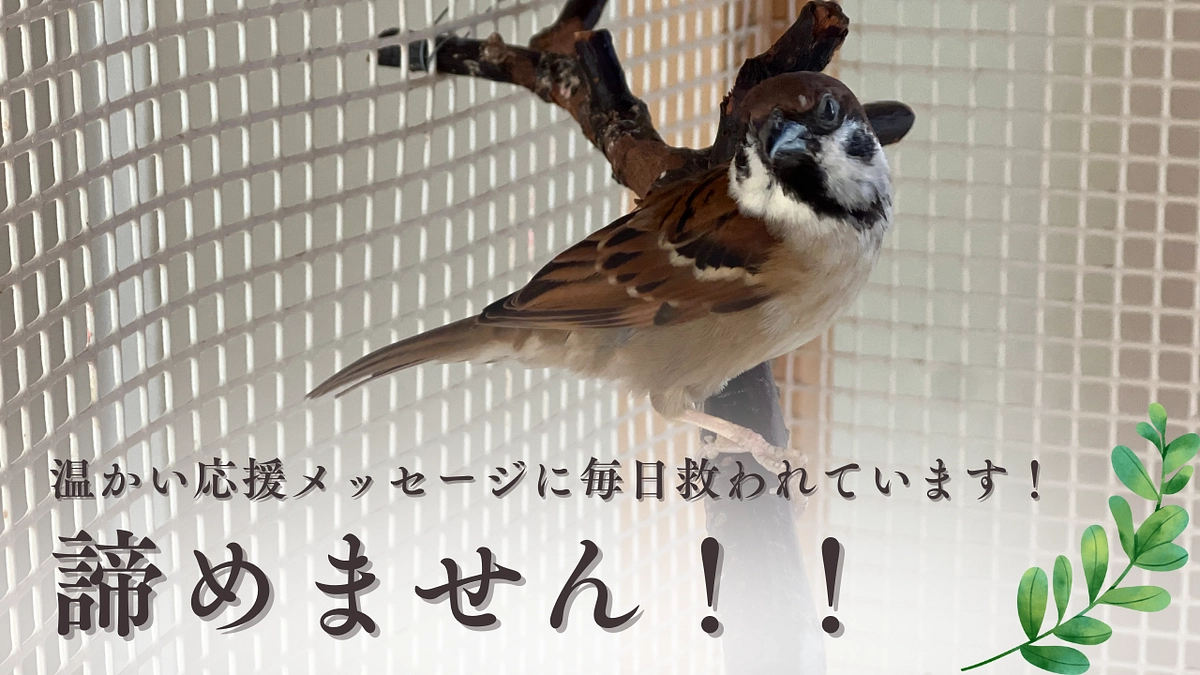 【クラファン残り4日】温かい応援メッセージに毎日救われています！諦めません！！ 