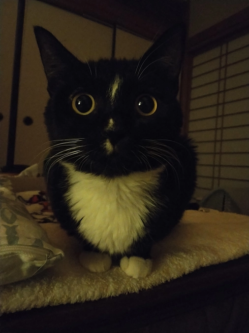 12/9はなちゃんの様子