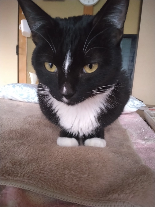 12/11はなちゃんの様子