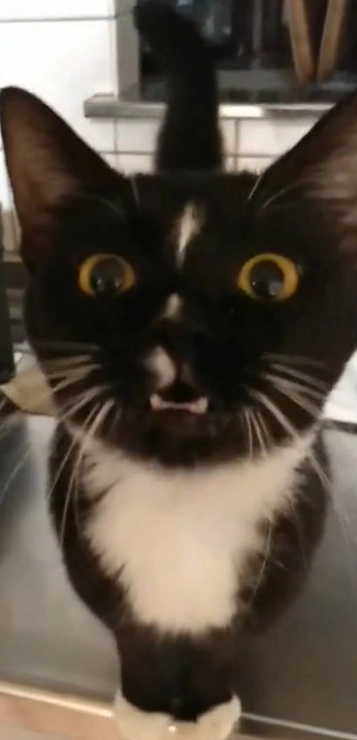 12/12②術後３ヶ月検診のご報告