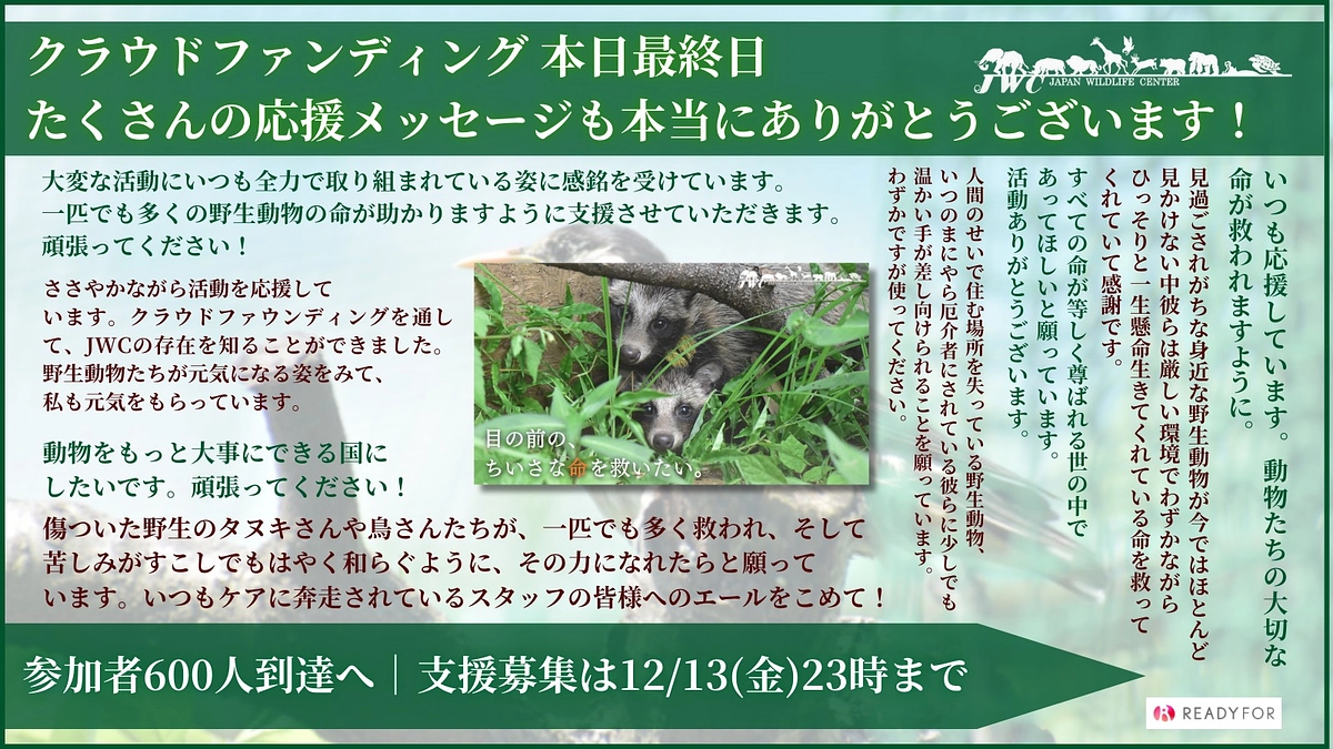 【クラファン本日最終日】最後まで応援いただきありがとうございます！！募集終了は23時まで