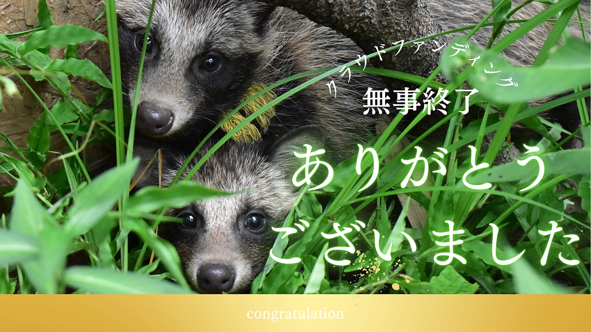 【クラファン終了】温かい応援、本当にありがとうございました！！！