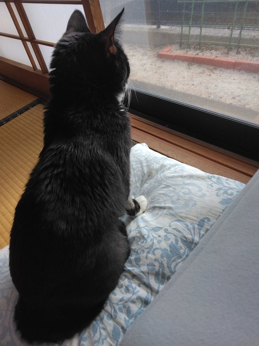 12/16はなちゃんのこれから