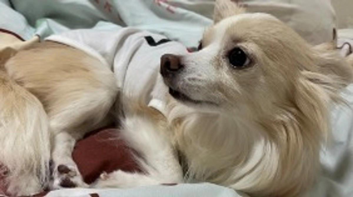 代理支援のご案内