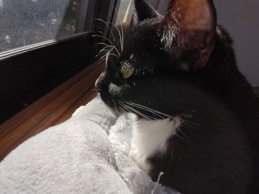 12/19はなちゃんの様子