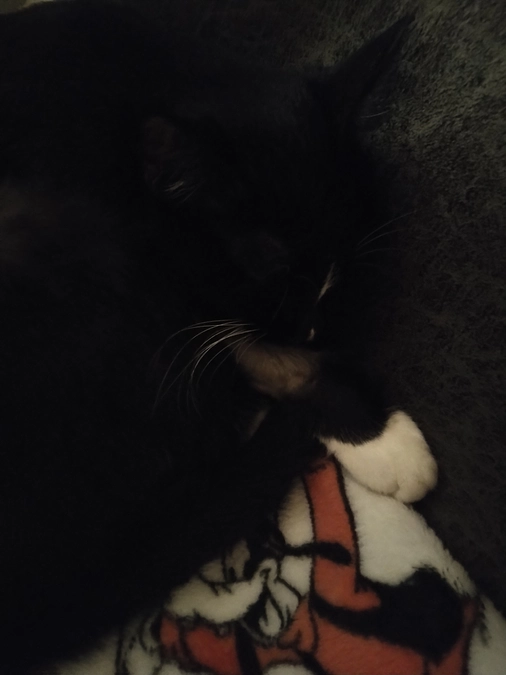 12/20はなちゃんの様子(発作あり)