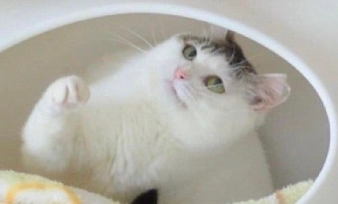 口腔ケアその後のその後【アキコ】【ゲンダ】