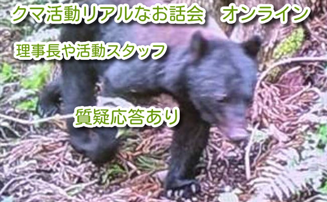 クマオンラインお話会ティケット
