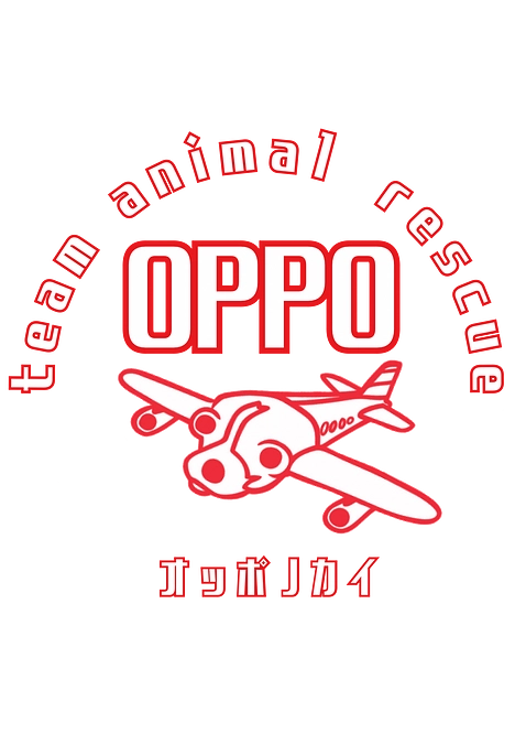 1年を通して.....