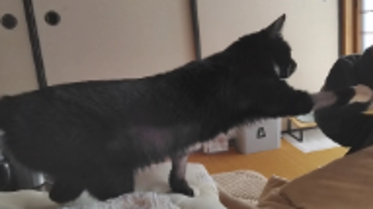 12/23はなちゃんの様子