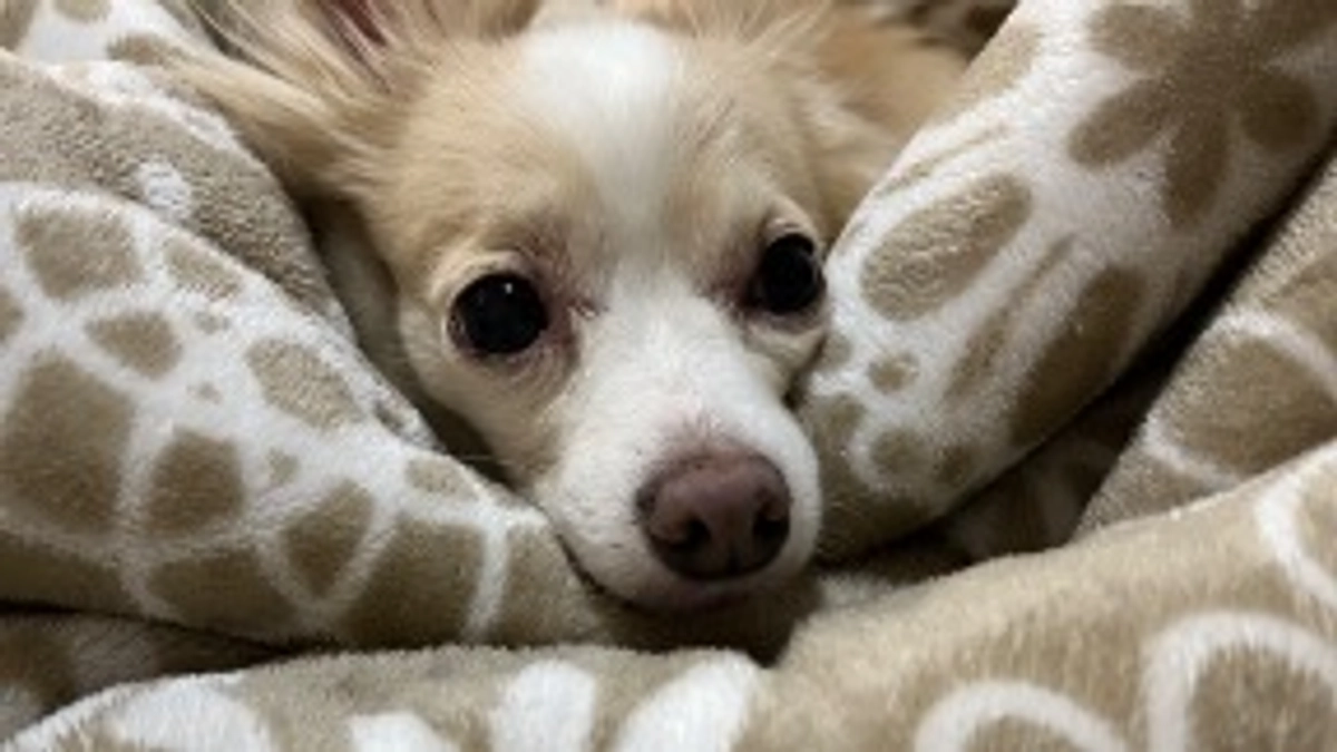 公開から１週間！