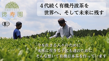 父と子で挑む！有機丹波茶を世界へ！ のトップ画像