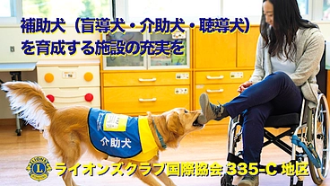 補助犬を育成するための施設充実資金を募りたい のトップ画像