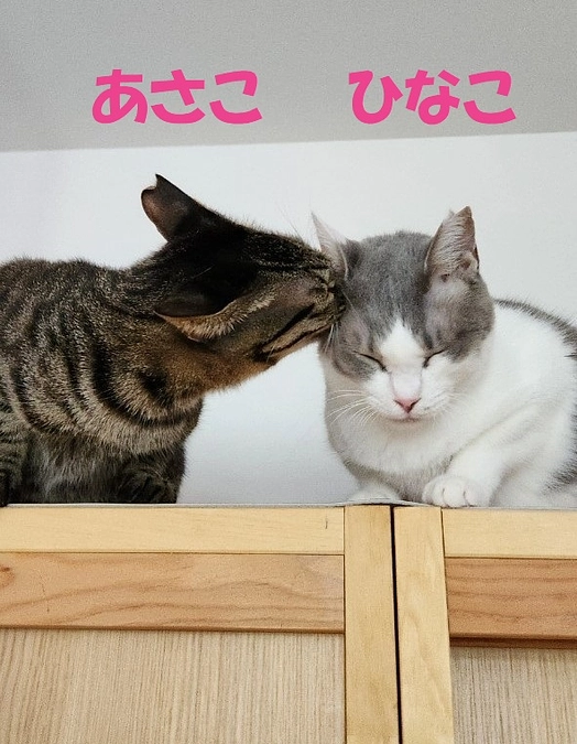 特徴的な2024年　ありがとうございました！