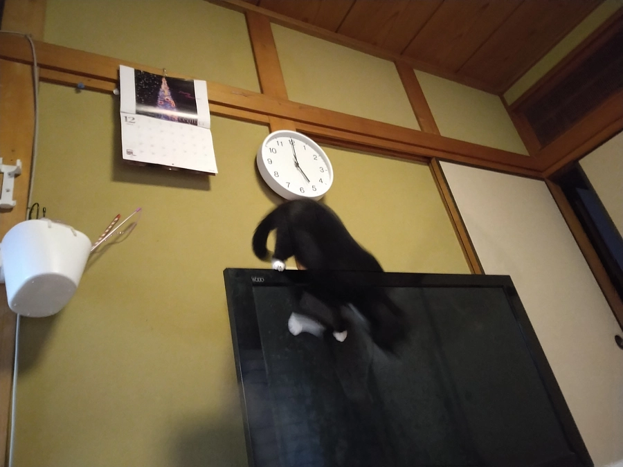 12/25はなちゃんの様子