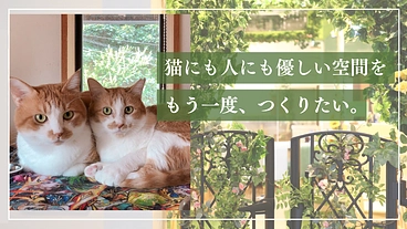 ととの森｜猫と人が出会い、温かいご縁を繋ぐ「はじまりの場」の開設へ のトップ画像