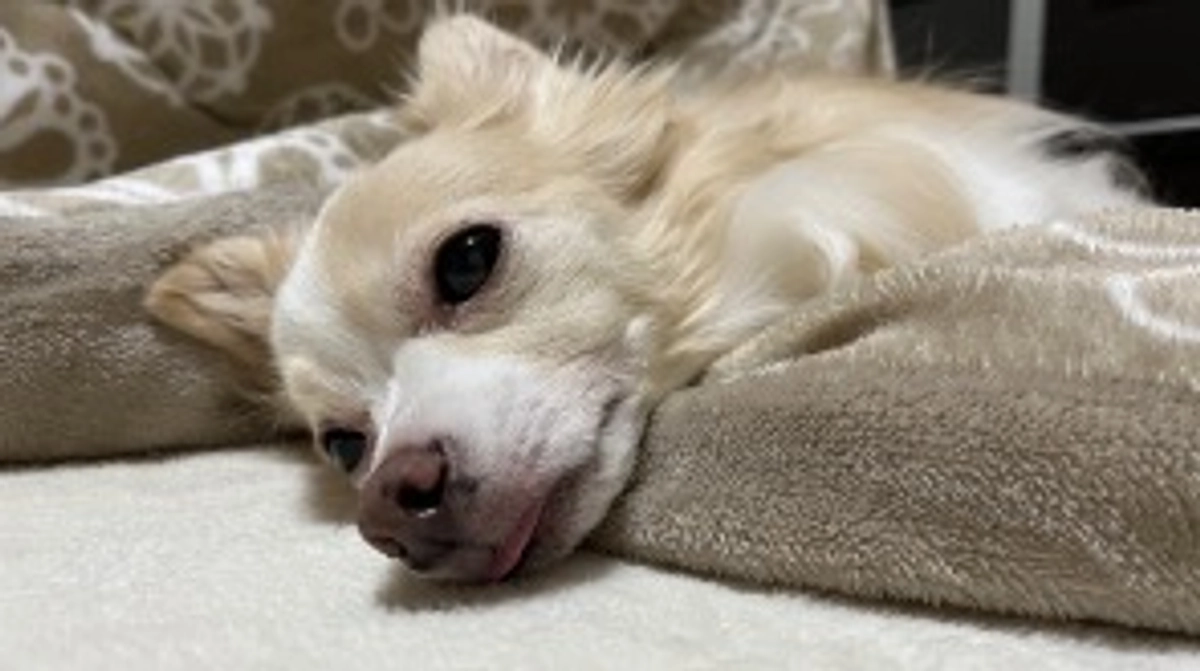 今年も１年お疲れ様でした☺️