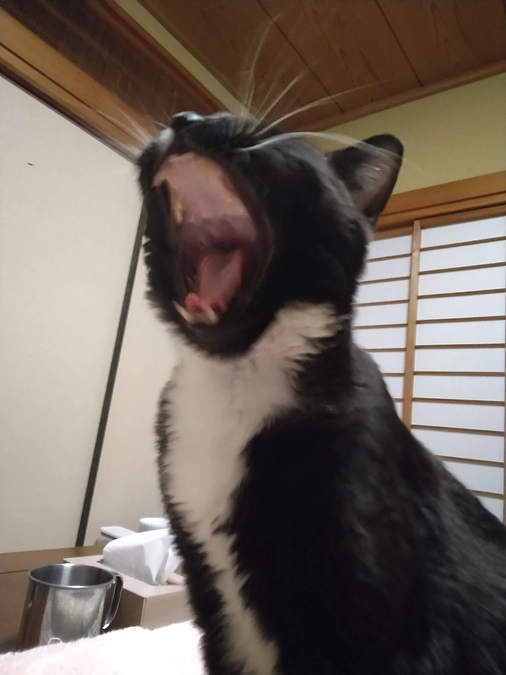 1/5はなちゃんの様子