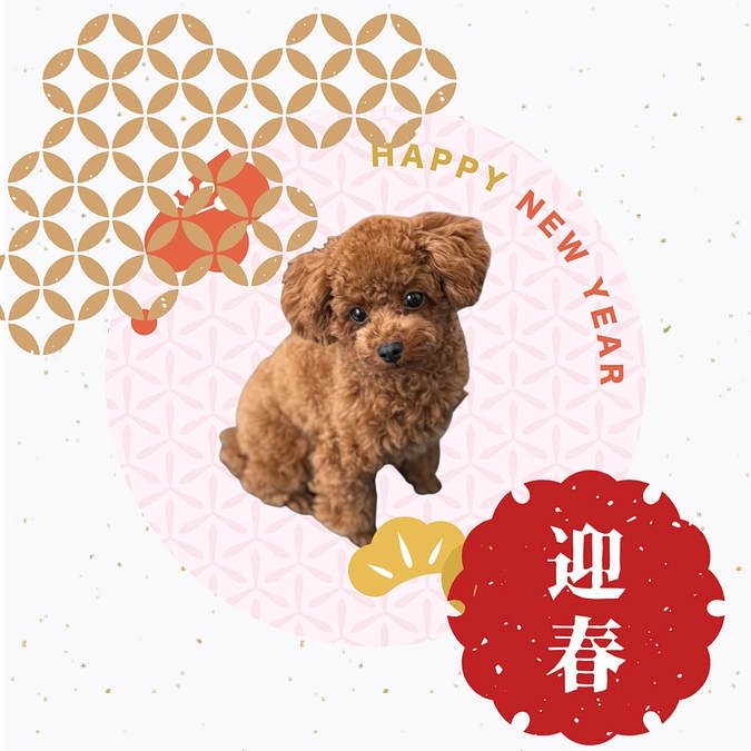 ＜新年のご挨拶＞