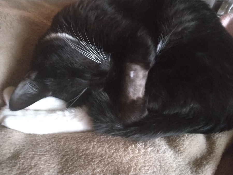 1/6はなちゃんの様子