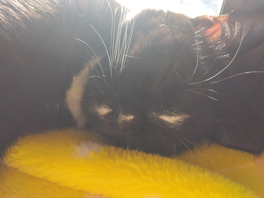 1/7はなちゃんの様子