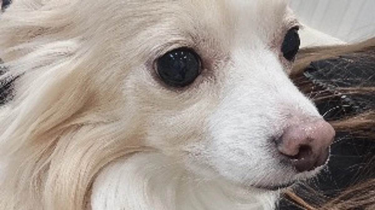 検診行ってきました🏥