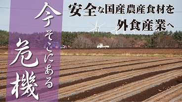 安全な国産農産食材を外食産業へ採用させたい のトップ画像