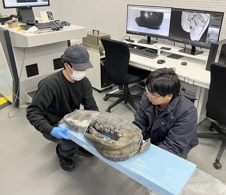 オオサンショウウオの全身CTスキャンを実施しました（1/7）