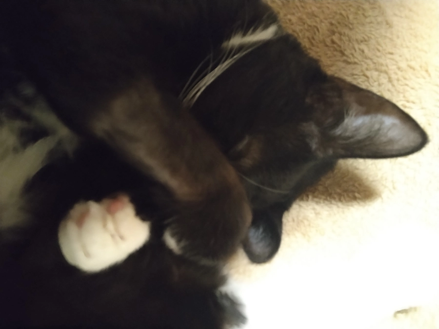 1/9はなちゃんの様子