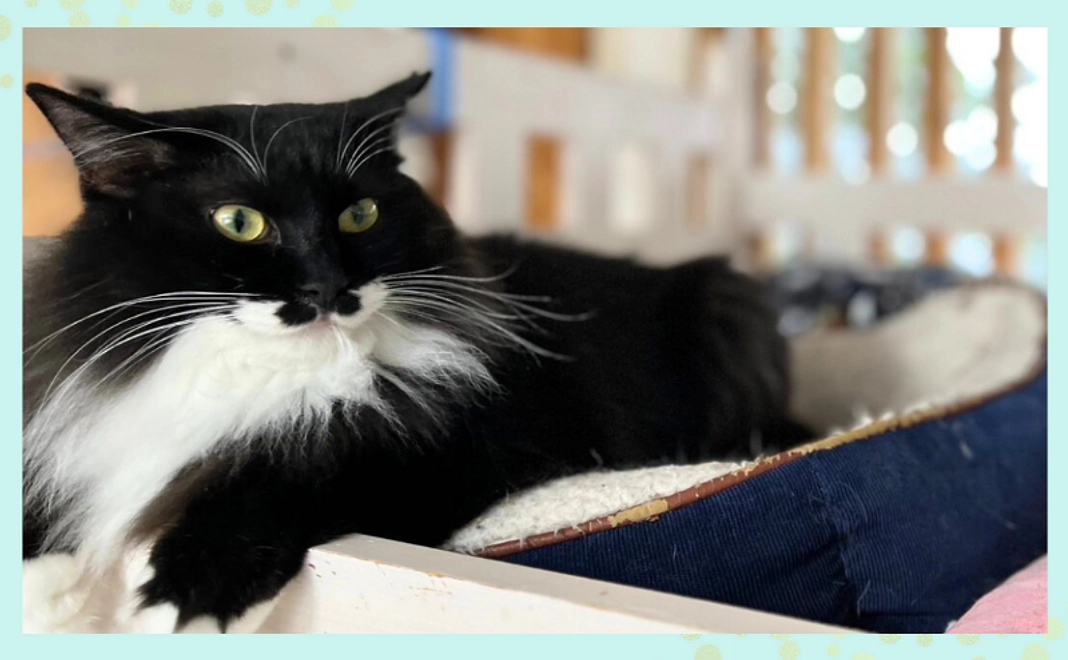 応援コース｜5,000円