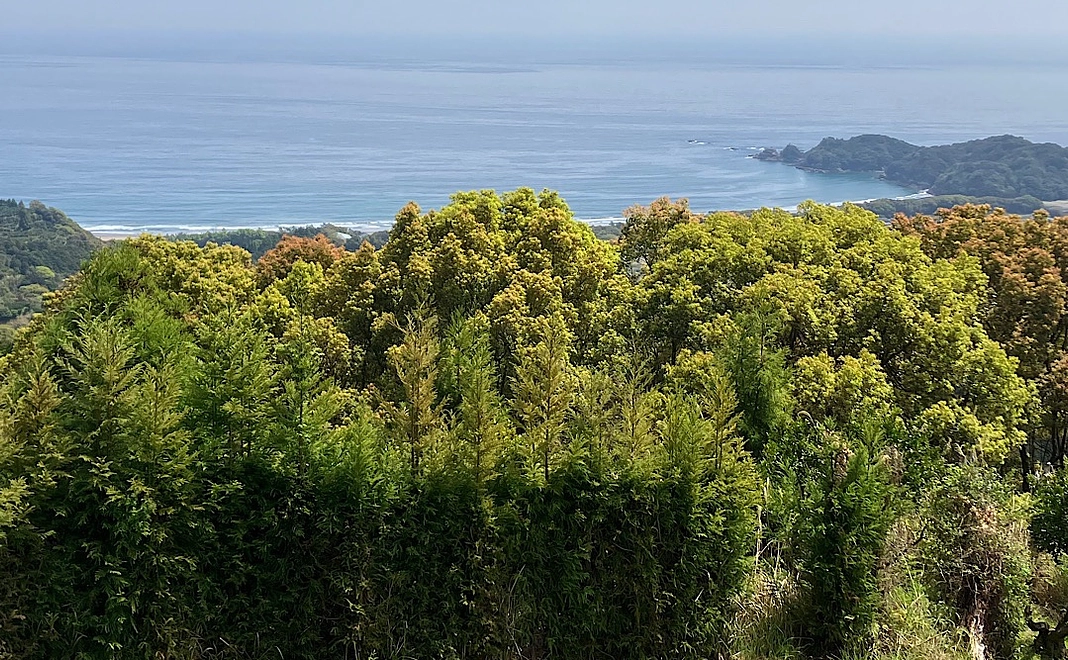 【無料券】毎月2,000円コース