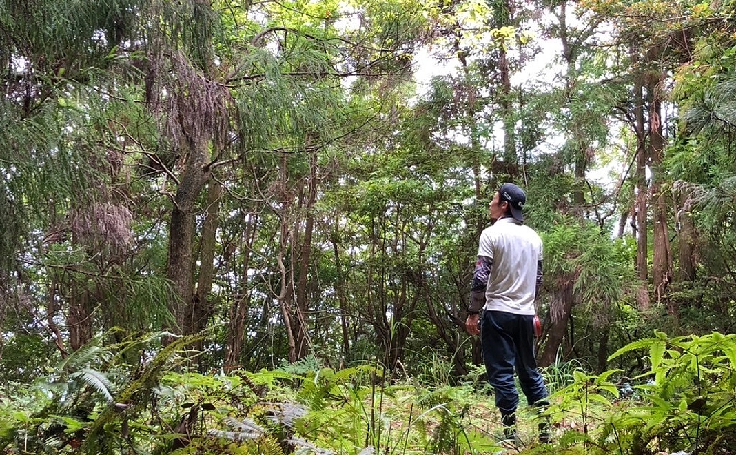 【割引券】毎月1,000円コース