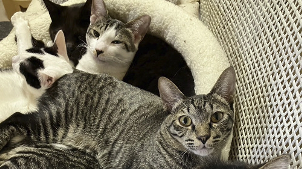 令和7年1月の中間報告！