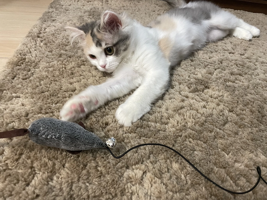 残り60時間💦 現在達成率４５%です😣