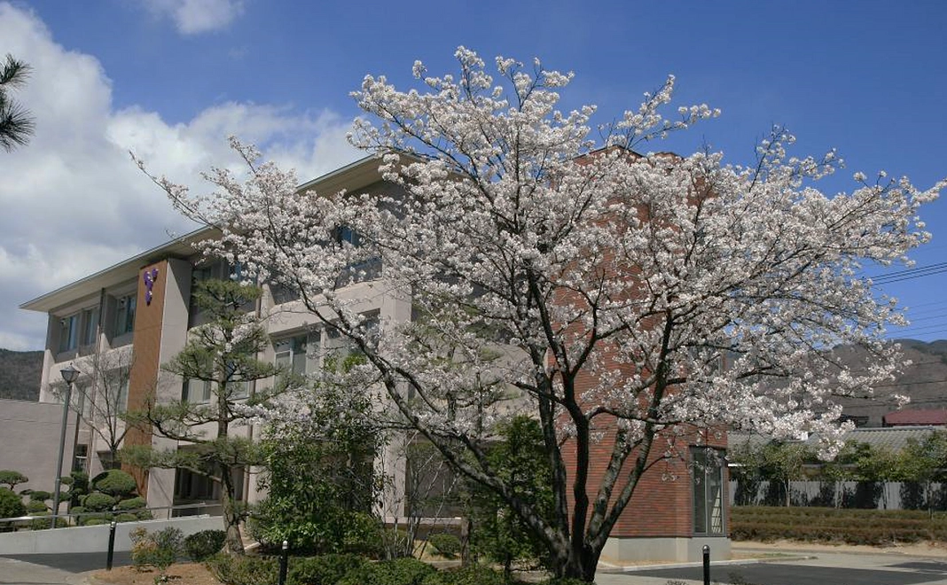 応援・寄附コース②