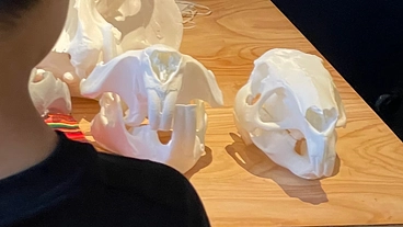 Vol.2 もっとカピバラ頭骨のサイエンスカフェをしたい！ のトップ画像