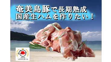 幻の奄美島豚で長期熟成生ハムを！ のトップ画像