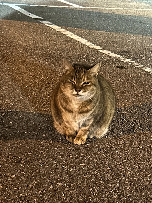 これからも見守ってくださると嬉しいです！