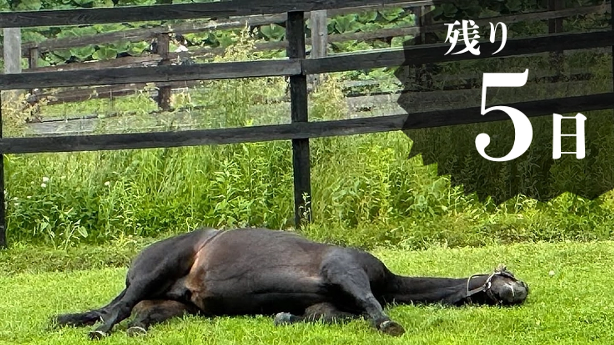 【残り5日】最終日1/31(金)渋谷で ポップアップイベントを開催します！