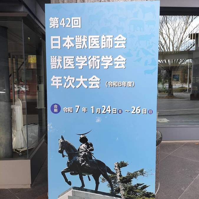 獣医学術学会年次大会で発表された「にゃんがたセンタークリニック」の報告が全国一位となりました