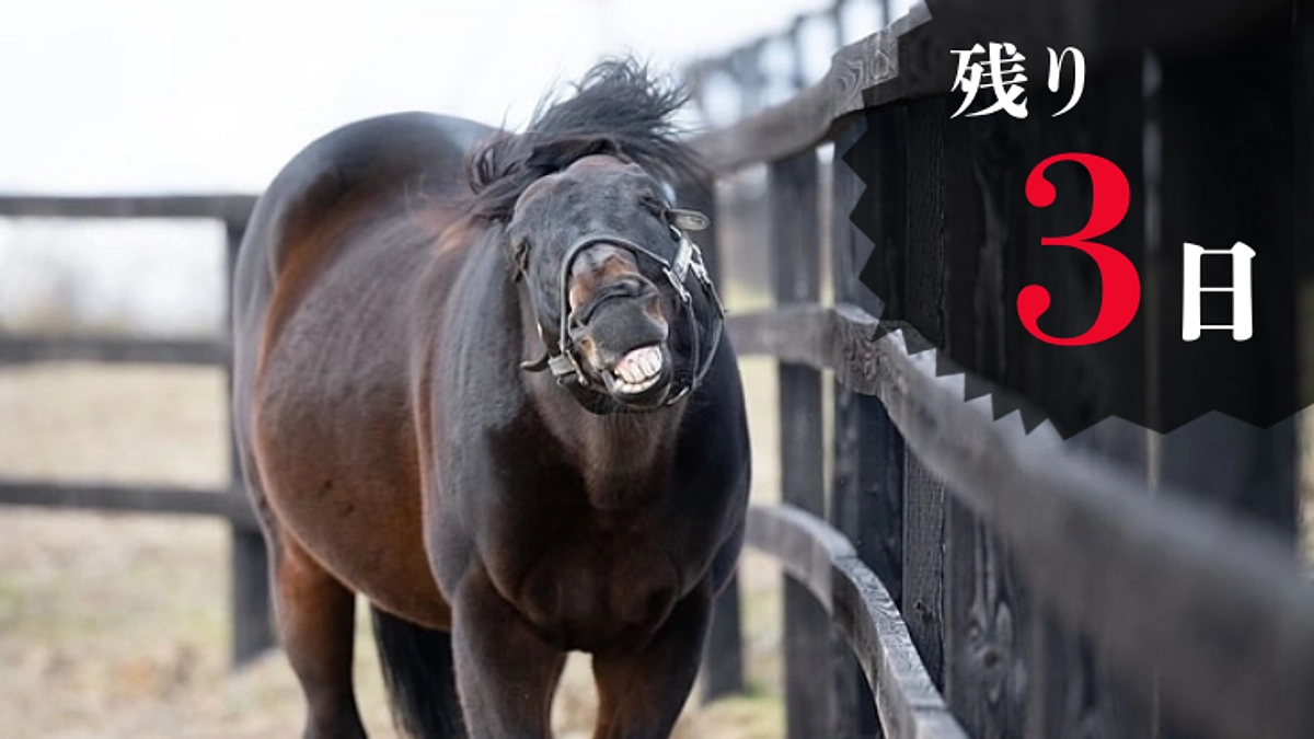 【残り3日】人気グッズランキングのご紹介、そして急遽決定！最終ゴール達成で特別キャンペーン実施！