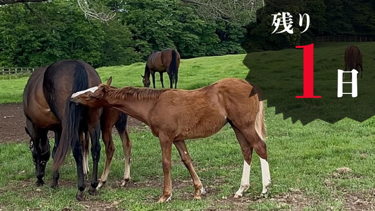 【あと1日】今回の資金使途・リトレーニング施設の内装イメージを公開！