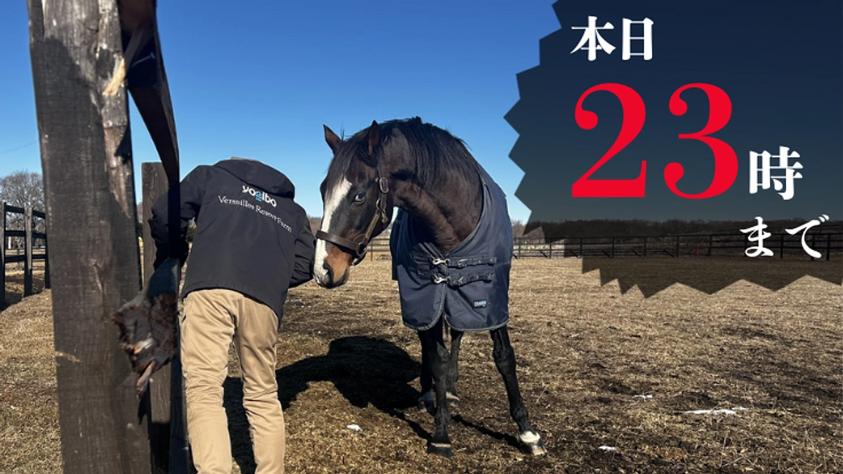 【あと12時間！本日23時まで】最後までご支援お願いいたします！