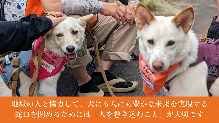 神栖から収容犬をゼロに。野犬と子どもがともに成長する居場所の開設へ 4枚目