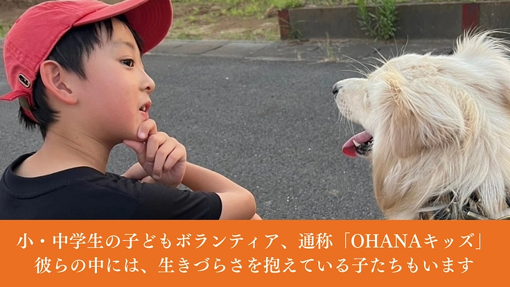 神栖から収容犬をゼロに。野犬と子どもがともに成長する居場所の開設へ 5枚目