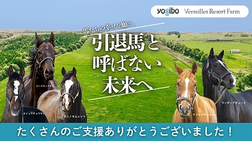 日高から全国に。馬たちの幸せな余生を願う、引退馬と呼ばない未来へ。 のトップ画像
