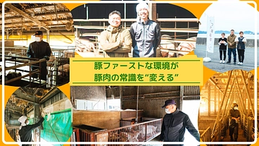 豚肉の常識が変わる！肥育環境のこだわりを支える豚舎改修工事の実現を のトップ画像